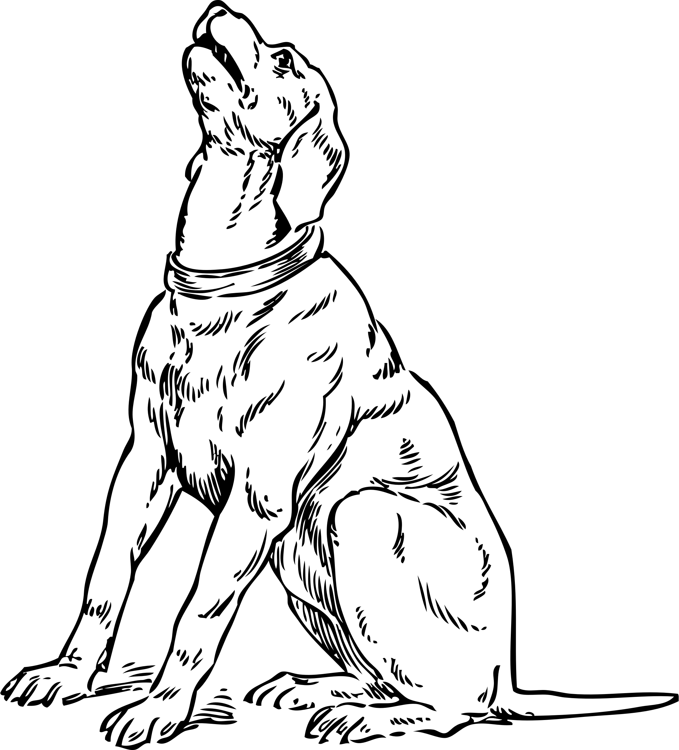 This Free Icons Png Design Of Barking Dog (2172x2400), Png Download