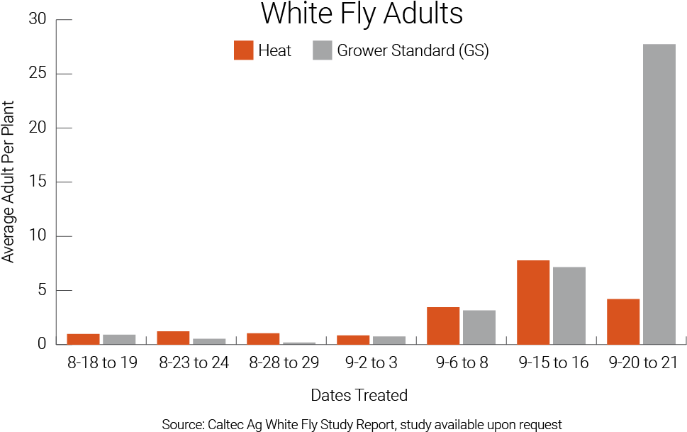 Results Of White Fly Adult Populations On Tomato Plants - Tomato (991x660), Png Download