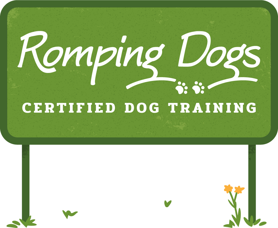 Romping Dogs Logo - Romping Dogs Dog Training (960x789), Png Download