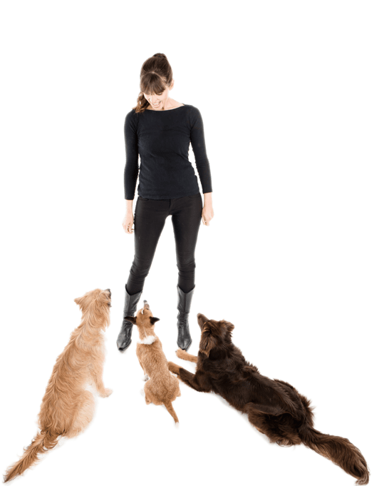 Let's Do This - Cat Jumps (1032x689), Png Download
