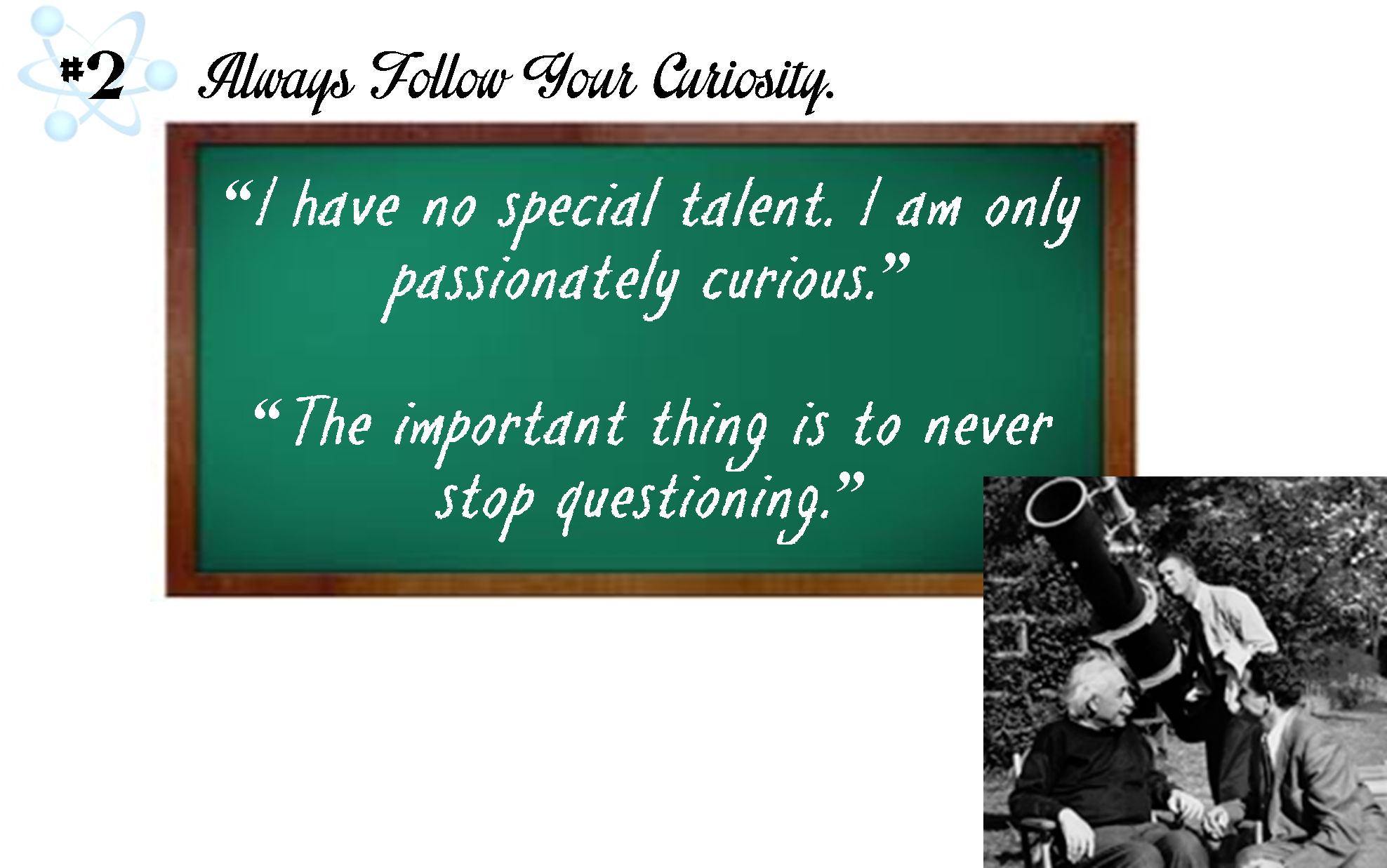 These - Dressage (1975x1258), Png Download