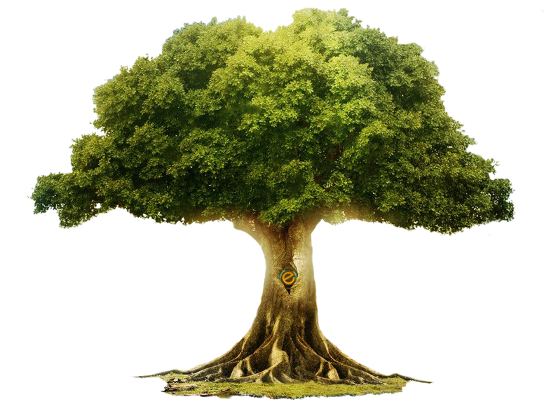 Etree - Grimms' Fairy Tales Jacob Grimm And Wilhelm Grimm (798x599), Png Download