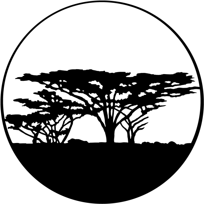 Trees - Africa - Apollo Trees Africa Steel Gobo Ms-4117 (800x800), Png Download