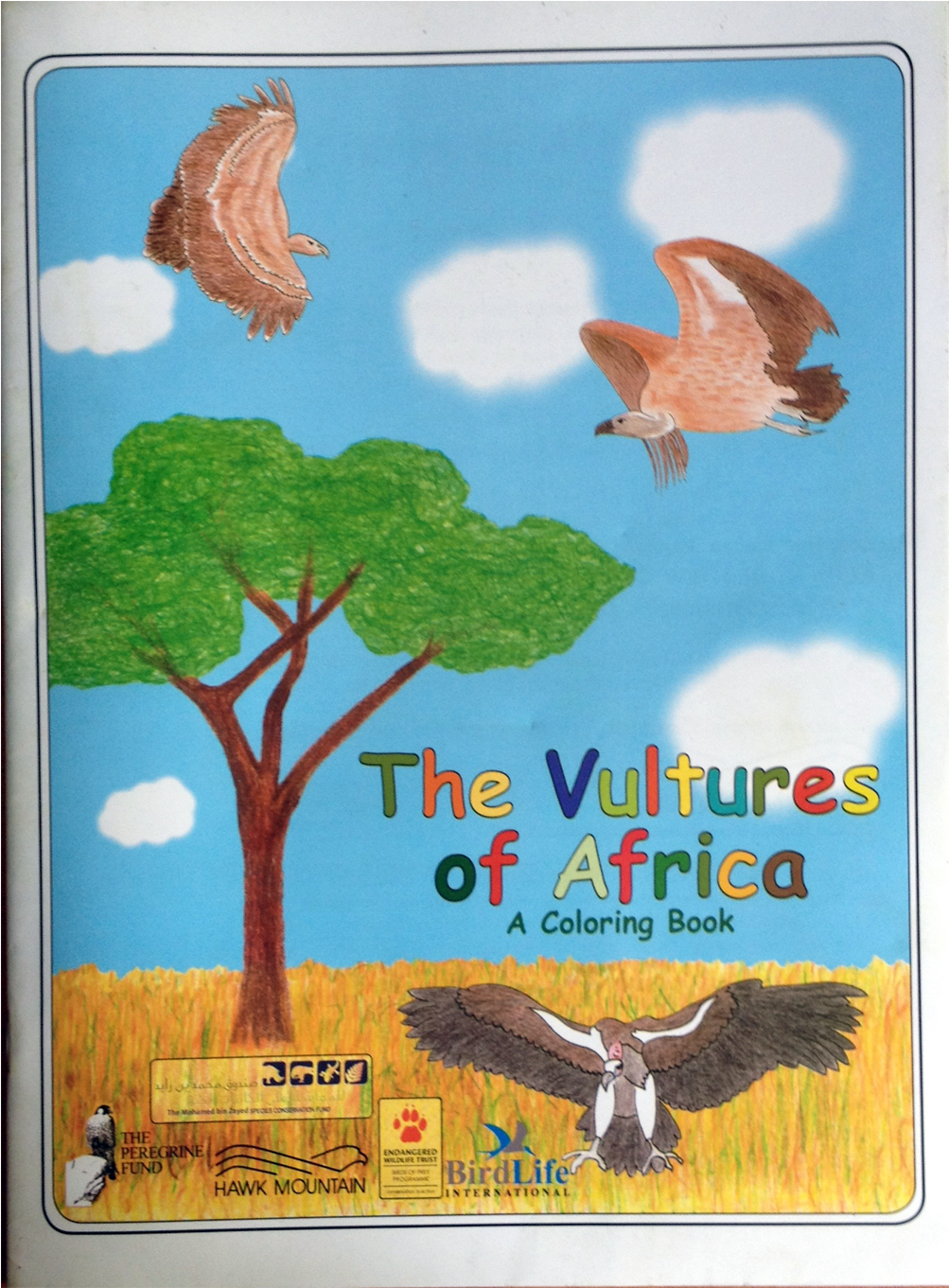 Drawing Of Wildlife Conservation (1701x1701), Png Download