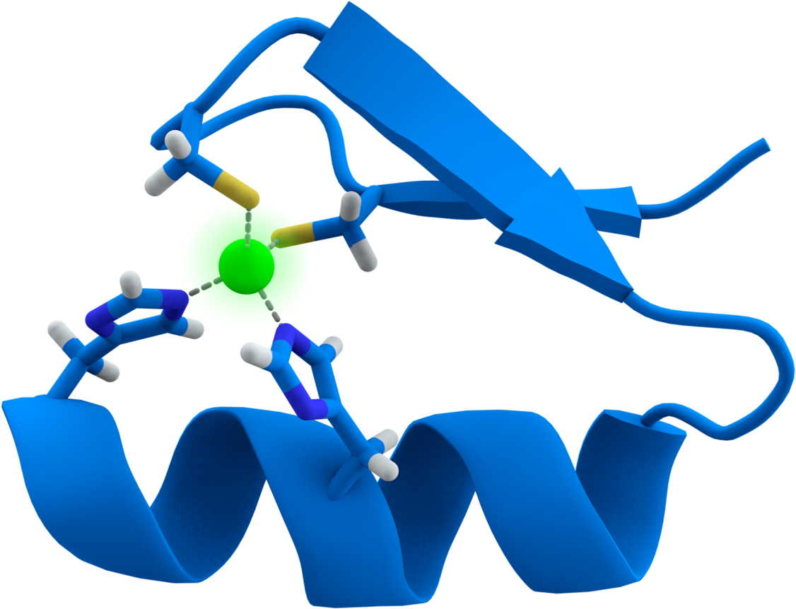 Zinc Finger Protein (1200x896), Png Download