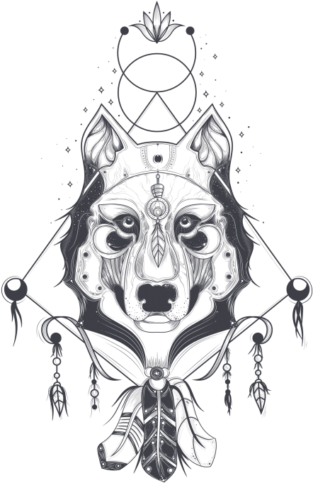 Wolf Illustration Png - Vector Illustration Of A Front View (715x715), Png Download