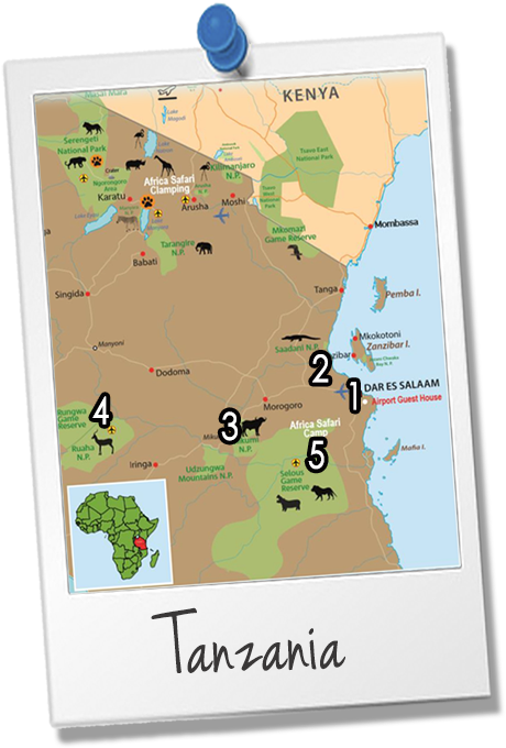 Map Highlights Of Southern Tanzania 13 Days, Highlights - World Map (551x694), Png Download