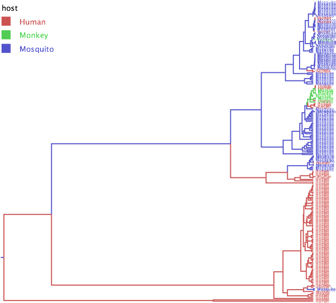 The Host Transmission Tree Shows That Yf Originates - Diagram (783x605), Png Download