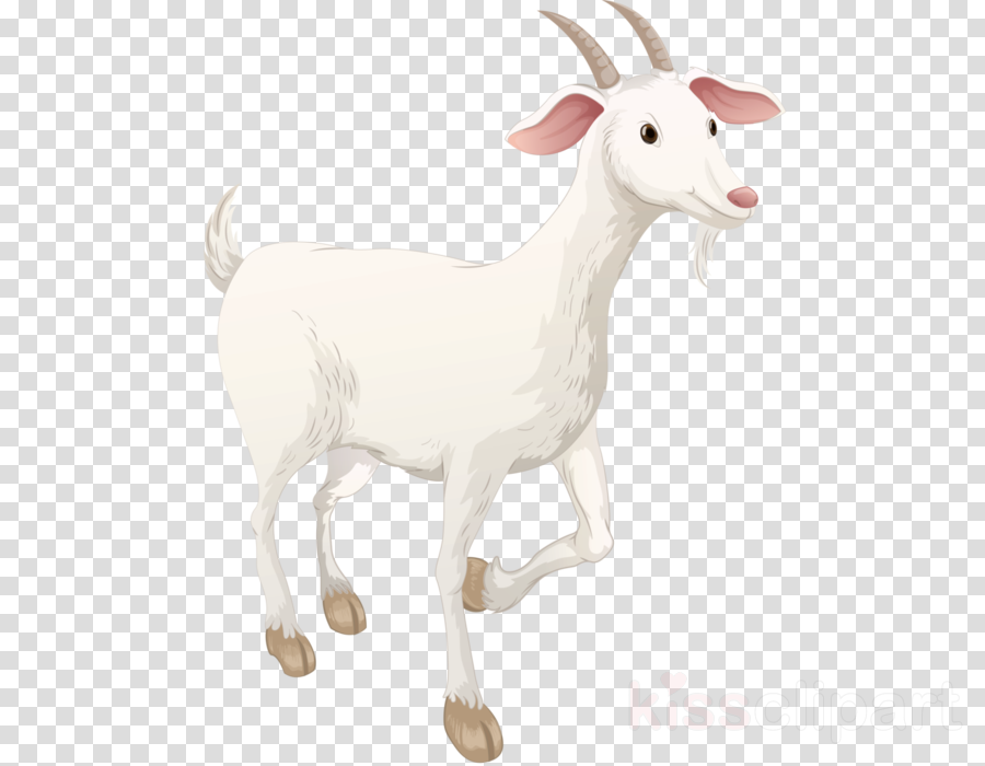 Goat Clipart Sheep Boer Goat Caprinae - Ark Survival Evolved Extinction Music (900x700), Png Download