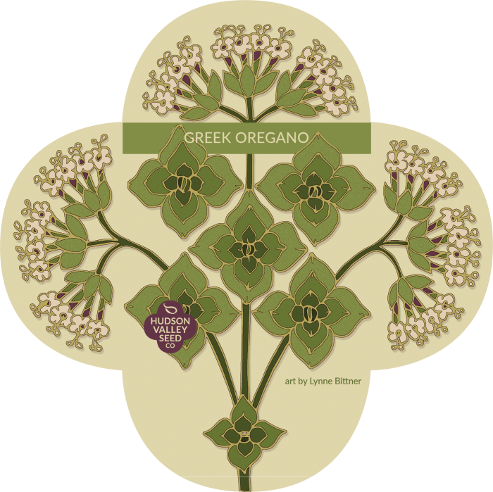 Organic Greek Oregano Seeds - Artificial Flower (700x699), Png Download