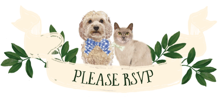 Rsvp - Portable Network Graphics (1000x469), Png Download