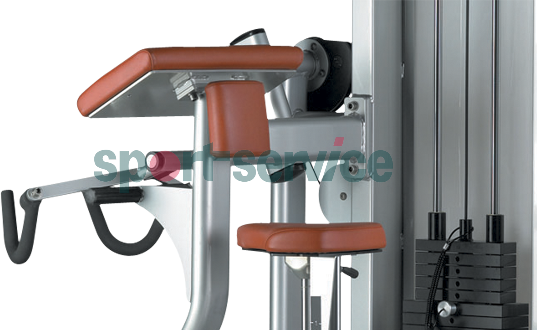 Biceps Curl X130 - Biceps Curl (1920x1080), Png Download