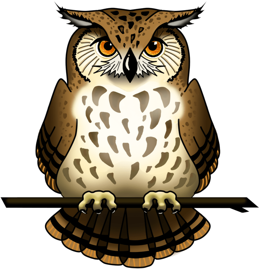 Owl Png (878x910), Png Download
