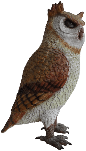Bird Owl Animal Prop Life Size Resin Statue (494x659), Png Download