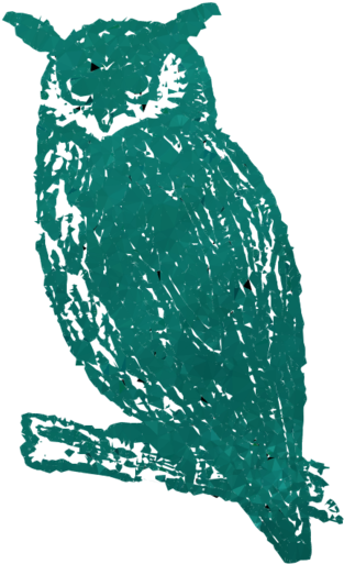 猫头鹰剪贴画猫头鹰海报 - Wildes Totem-tiereulen-gekritzel Grußkarte (900x900), Png Download