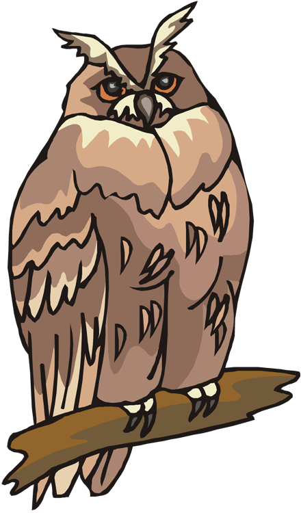 Free - Owl Animals Clipart (440x750), Png Download