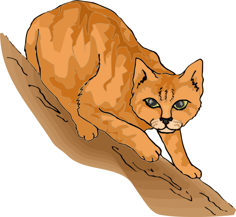 Persian Cat Wildcat Cat Tree Cartoon Purr - Cat In The Tree Cartoon (815x750), Png Download