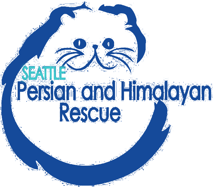 Sphr Logo - Persian Cat Logo (720x668), Png Download