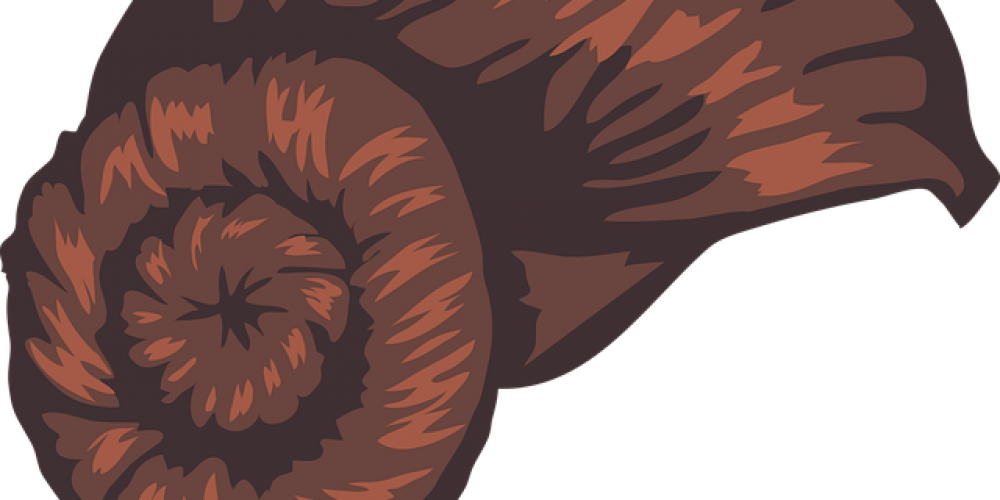 Star Wars' Princess Carrie Fisher Death Linked To Sleep (1000x500), Png Download