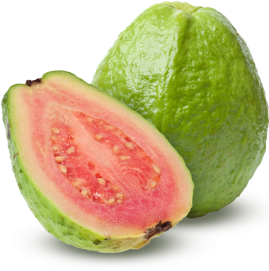 Guava Transparent - Guava Png (510x510), Png Download