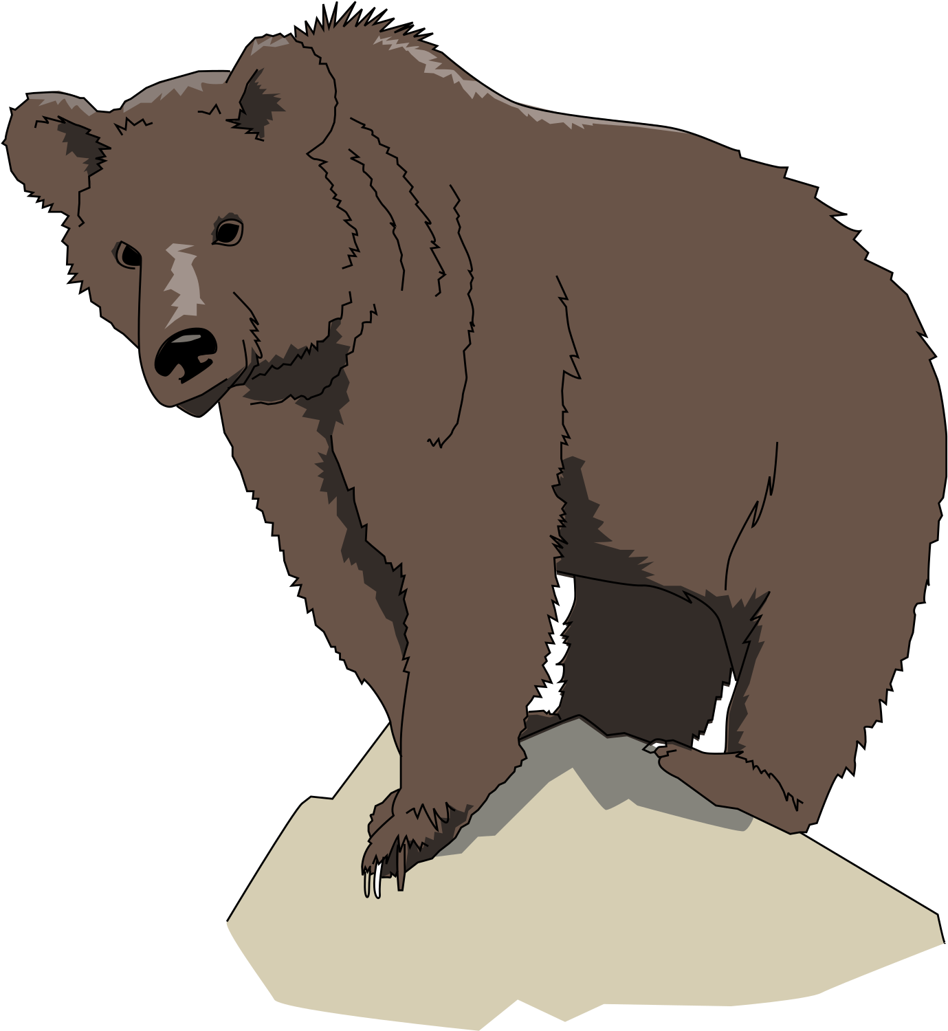 Brown Png Animals Pinterest Brownbear Brownbearpng - Brown Bear (415x594), Png Download