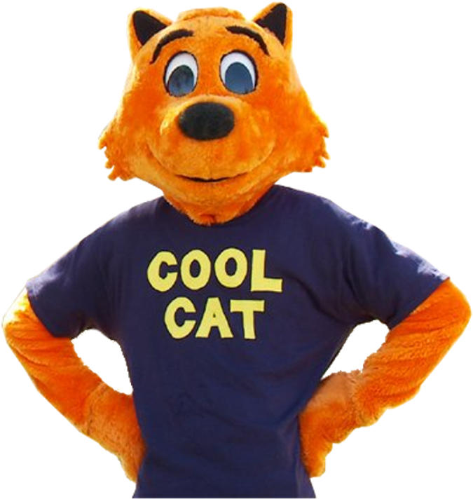 Cool Cat Transparent (722x771), Png Download
