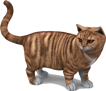 Cat 3d Figurine Made Of Sandstone - 3d Cat Model Png (480x357), Png Download