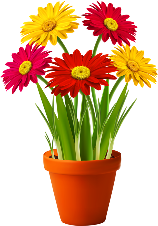 0 Floral Drawing, Flower Pots, Potted Flowers, Good - Flower With Pot Png (567x800), Png Download
