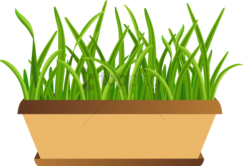 Flowerpot With Grass Transparent Png Clip Art Image - Grass Pot Clipart Png (600x407), Png Download