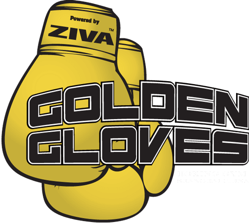 Golden Gloves Boxing Gym Hero Logo - Golden Gloves Boxing Logo (500x448), Png Download