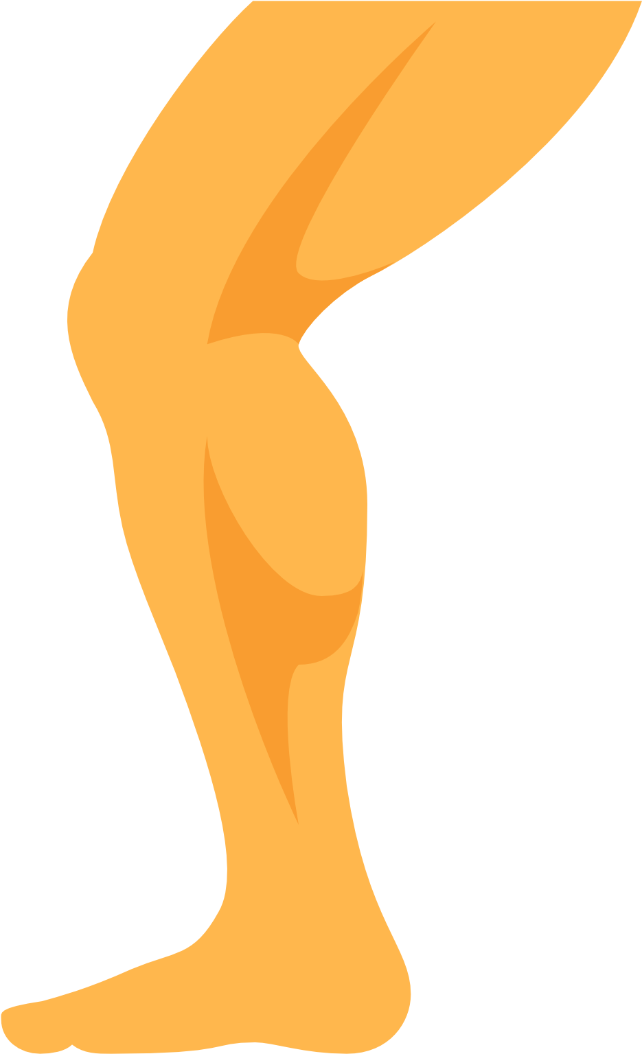 Transparent Images Pluspng Icon - Leg Icon (1600x1600), Png Download