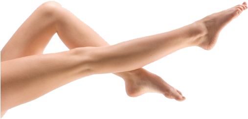 Female Leg Png Pic - Leg .png (546x373), Png Download