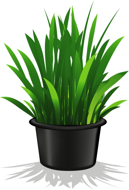Image Freeuse Flower Pots Clipart - Potted Plant Clip Art Transparent (544x800), Png Download
