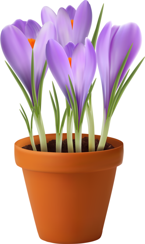Watercolor Cards - Potted Plants Transparent Clipart (476x800), Png Download