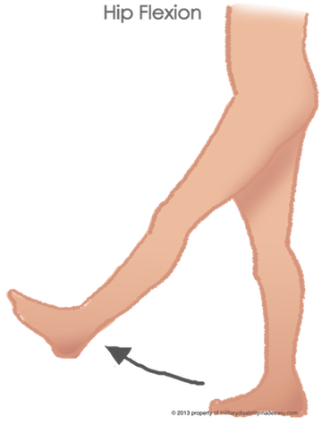 Flexion Of The Hip 12 - Tights (360x475), Png Download