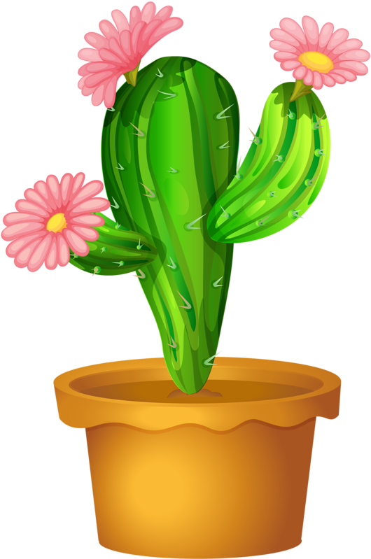 Download Picture Cactus Flower Clipart Png Image With No Background Pngkey Com