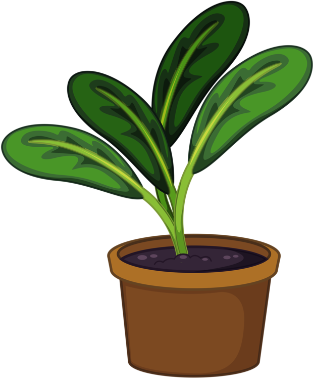 Flower Pot Png Garden Pinterest Clip Art - Plant In A Pot Png (659x800), Png Download
