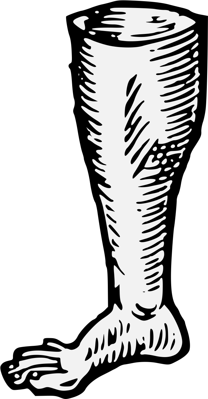 Details, Png (731x1378), Png Download