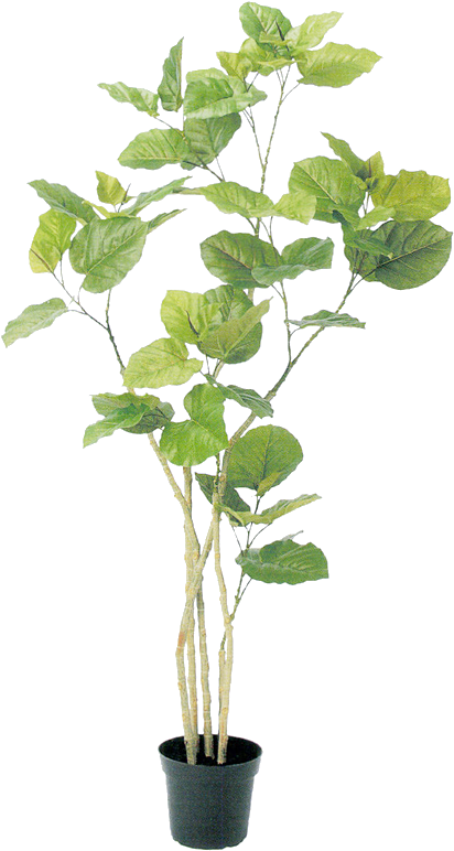 0 Tree Psd, Plant Illustration, Botanical Illustration, - Plants In Pots Photoshop (500x815), Png Download