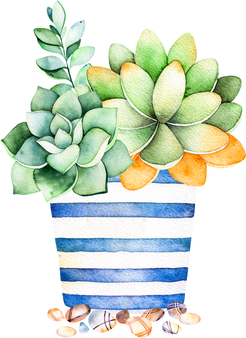 Blue Striped Flower Pot Cartoon Transparent Succulent Plant Succulent