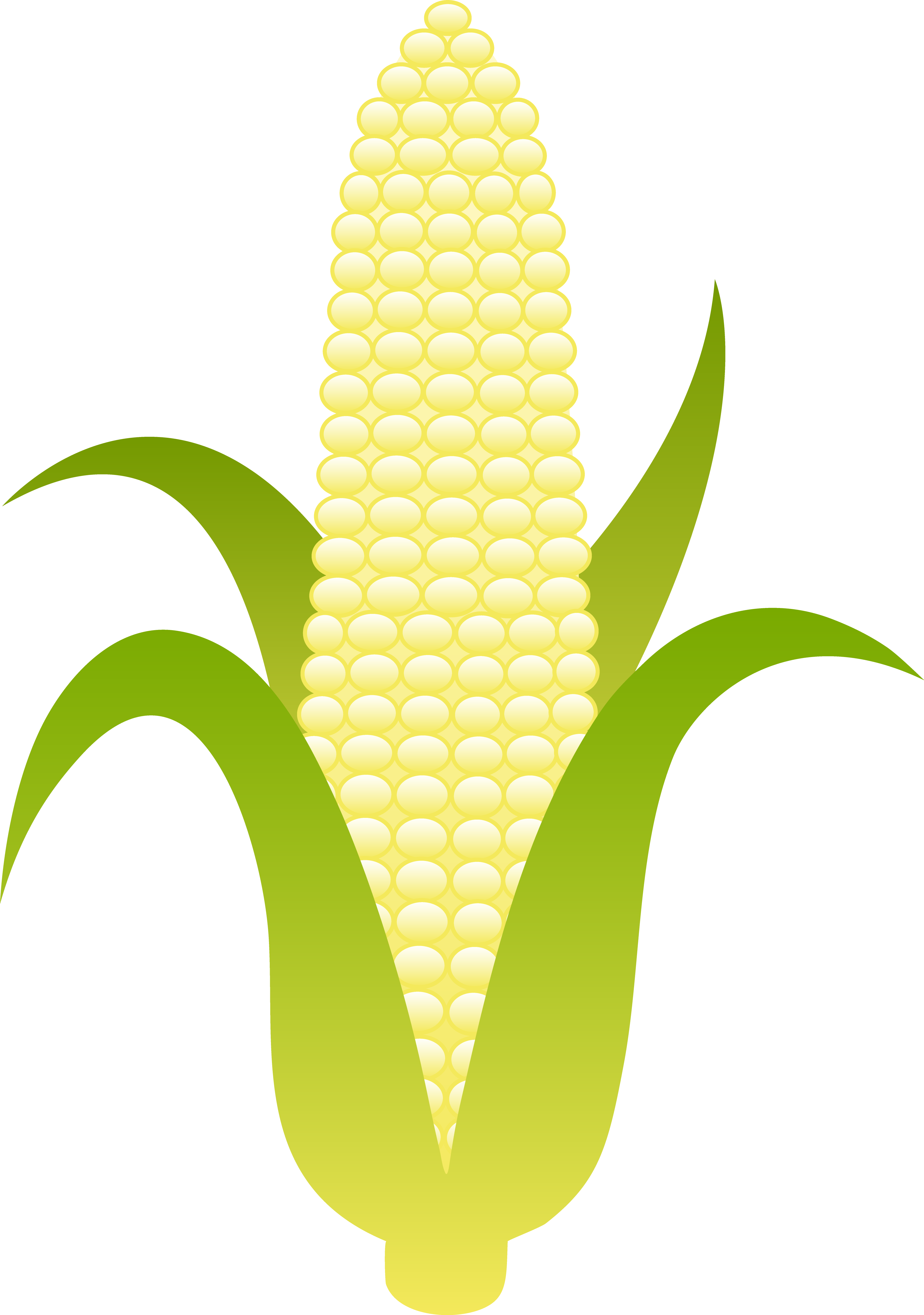 Fruit Clipart, Food Clipart, Fall Clip Art Free, Harvest - Corn Clip Art (386x550), Png Download