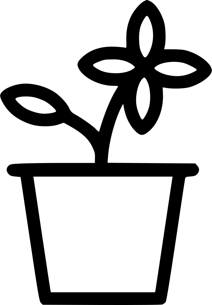 Flower Pot - - Portable Network Graphics (682x980), Png Download