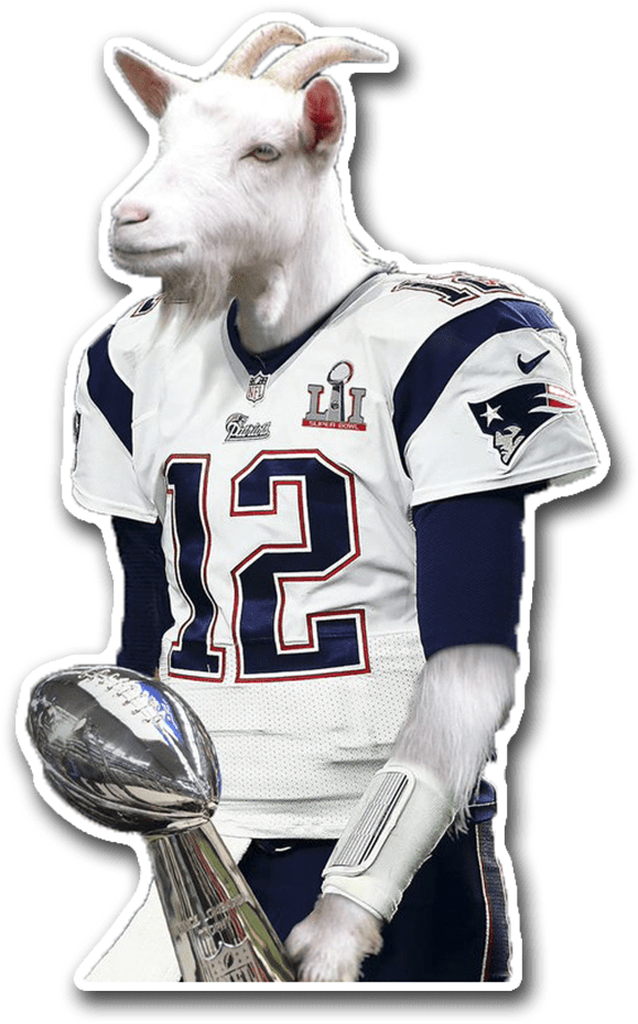 Tom Brady Goat - Wut In Tarnation Meme (1000x1000), Png Download