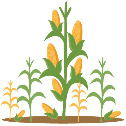 Corn Stalks Svg Scrapbook Cut - Clip Art Corn Stalks (432x432), Png Download