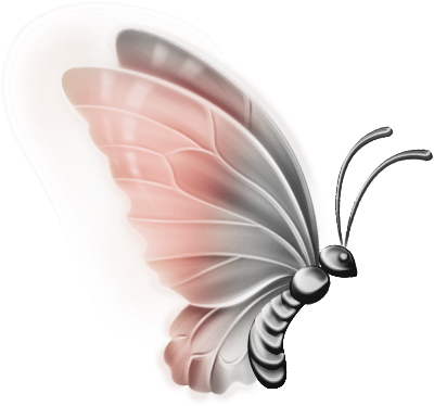 Clipart Butterflies - Butterfly Images Transparent Background (448x449), Png Download
