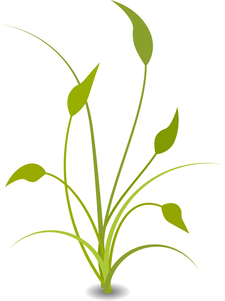 Corn Clipart Corn Stalk - Nature Clip Art Transparent (958x1281), Png Download