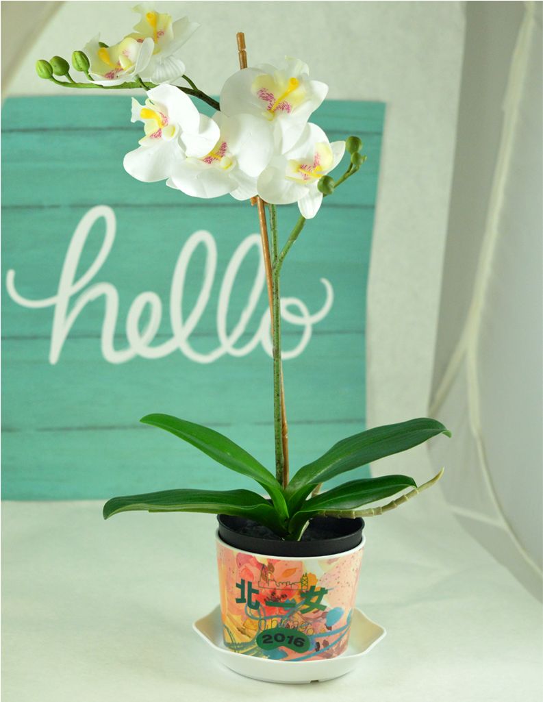 Taiwan Flower Pot (1024x1024), Png Download