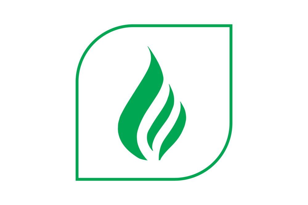 Leafy Corn Silage High Fiber Digestibility - Maize (1000x667), Png Download