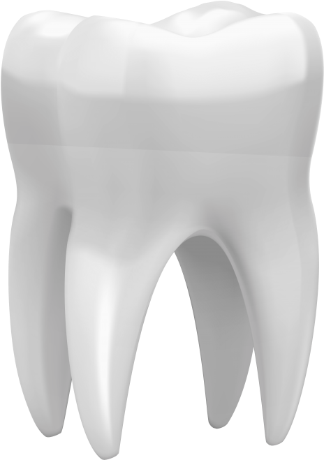 Free Png 3d Tooth Png Images Transparent - Png Treeth 3d (480x667), Png Download