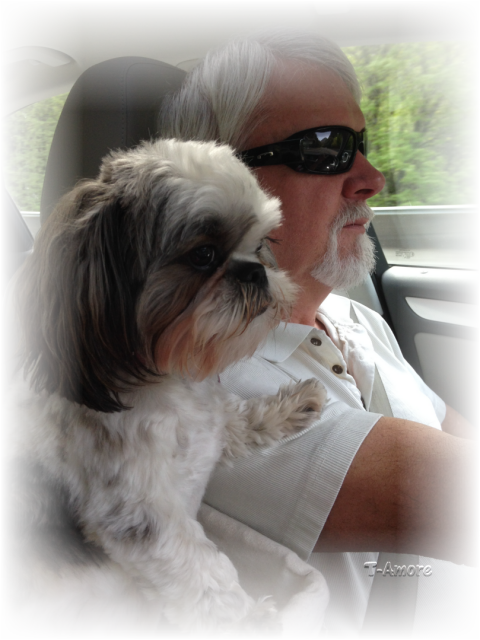Linda Sent In This Great Picture Of "marley" Enjoying - Shih Tzu Dad (480x640), Png Download